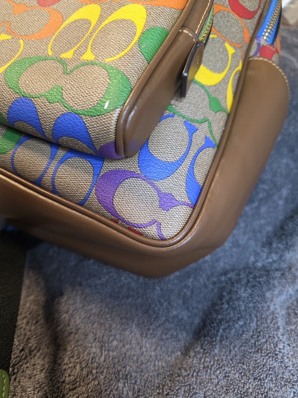 Coach Rainbow Signature Backpack - Multicolor - Picture 6 of 14